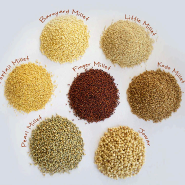 Millets Vap